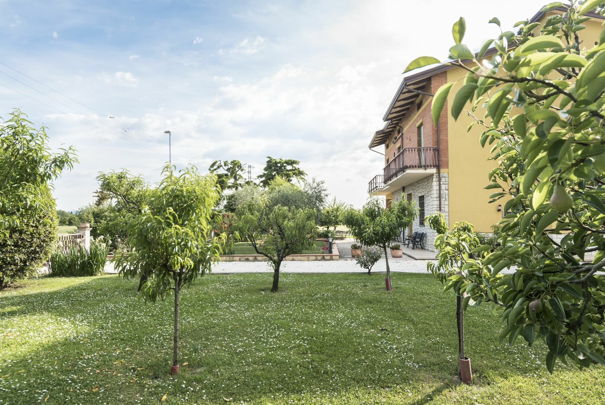 Camere Mariella Assis Exterior foto
